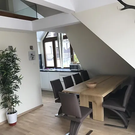 Apartment Zebra