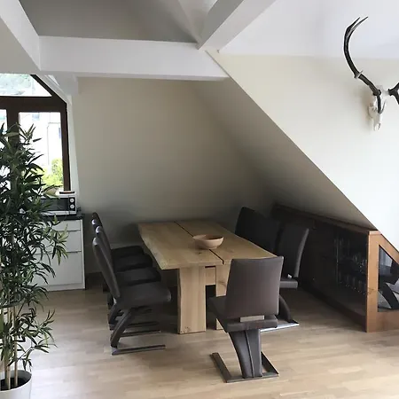 Zebra Apartment